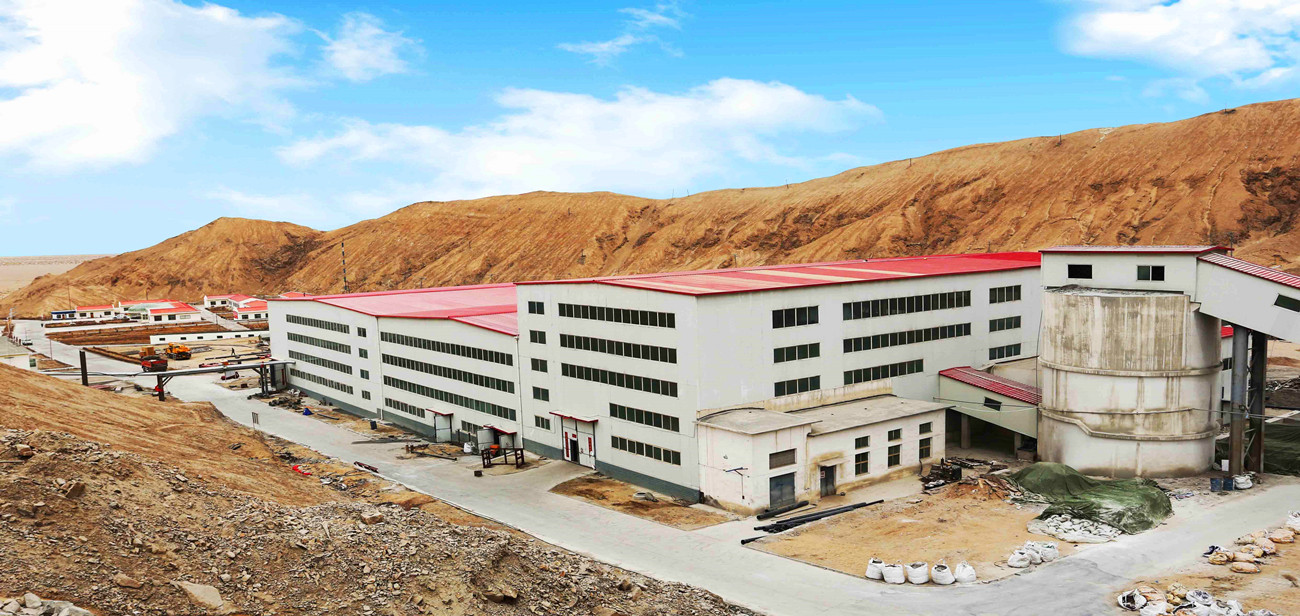 Zijin Mining Company